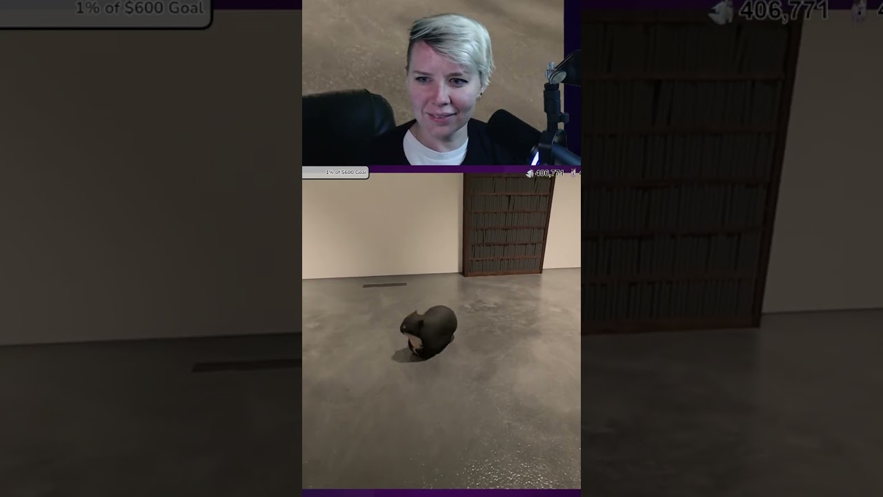 The BEST meme cat was found in Twisted Gallery
