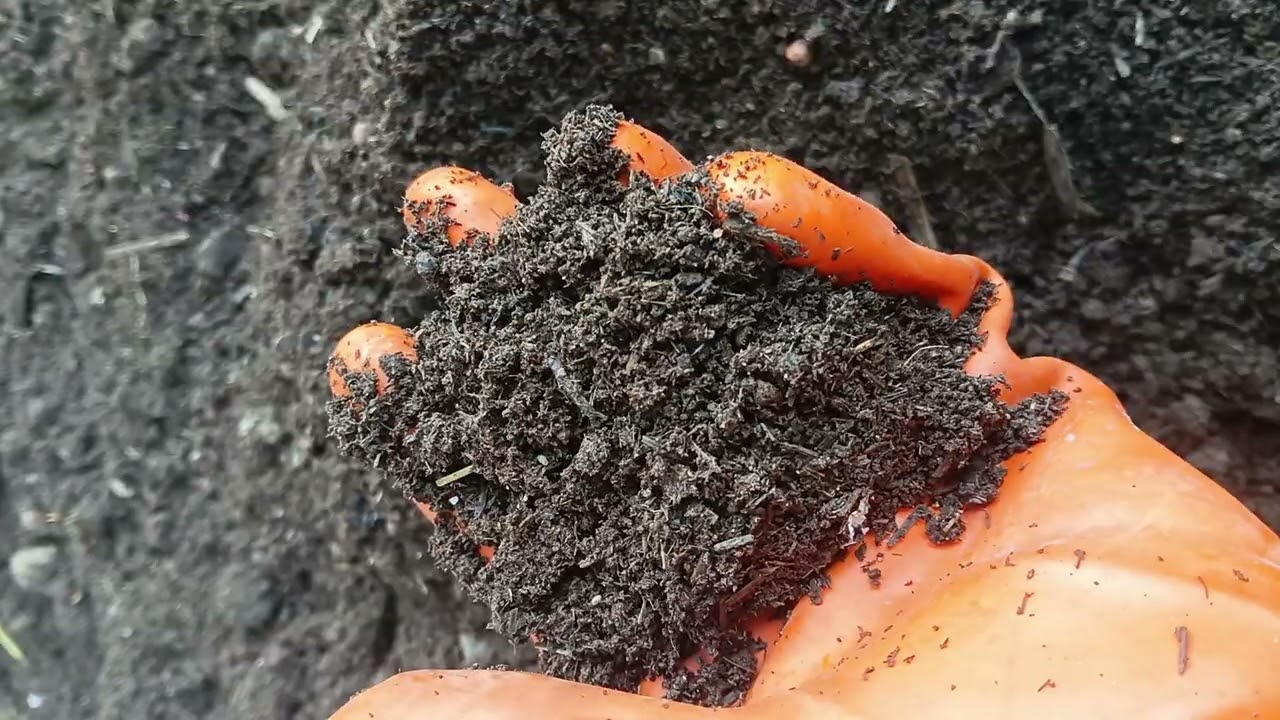 भारतीय फॉर्महाउस विजेट👍👍🙏🙏