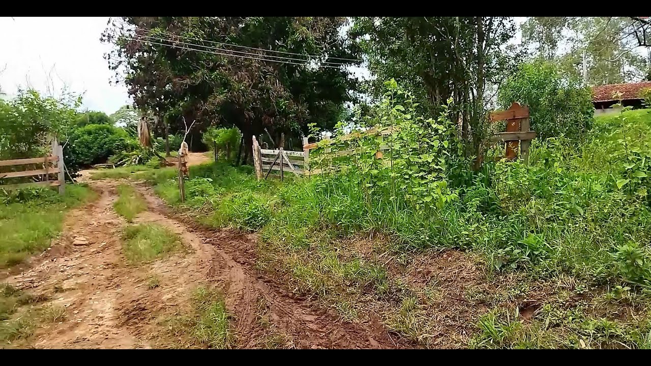 Lugar lindo Sitio Cachoeirinha, Sr Nono 81 anos, plantação, galinha caipira, frutas animais,