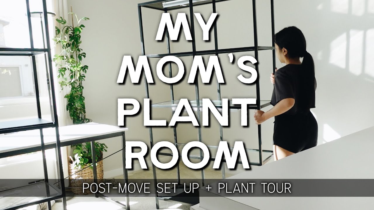 helping my mom put her plant room together + quick tour of her plants!