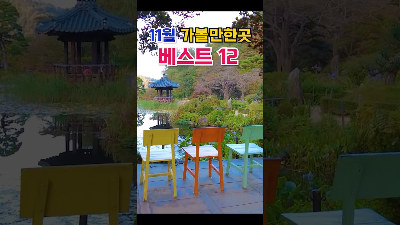25년 11월 가볼만한곳 베스트12, 최고의 여행지선정, 전국단풍명소, 꽃축제 절정, 11월 국내여행지추천, 가을단풍여행명소, 은행나무단풍, 단풍절정시기