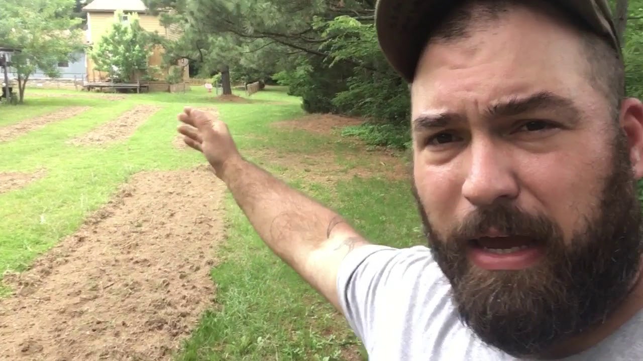 Prepper Garden for SHTF TEOTWAWKI: lessons and observations