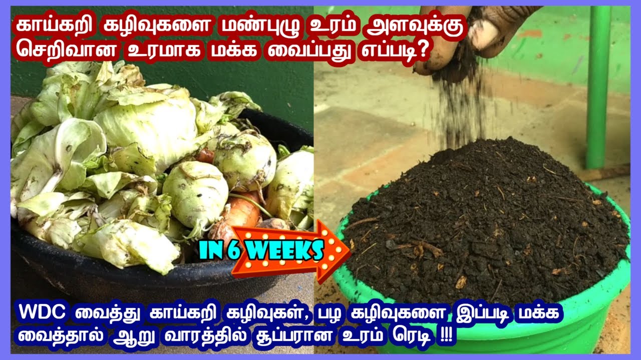 காய்கறி கழிவுகளை ஆறு வாரத்தில் மண்புழு உரம் அளவுக்கு செறிவான உரமாக மக்க வைப்பது எப்படி?
