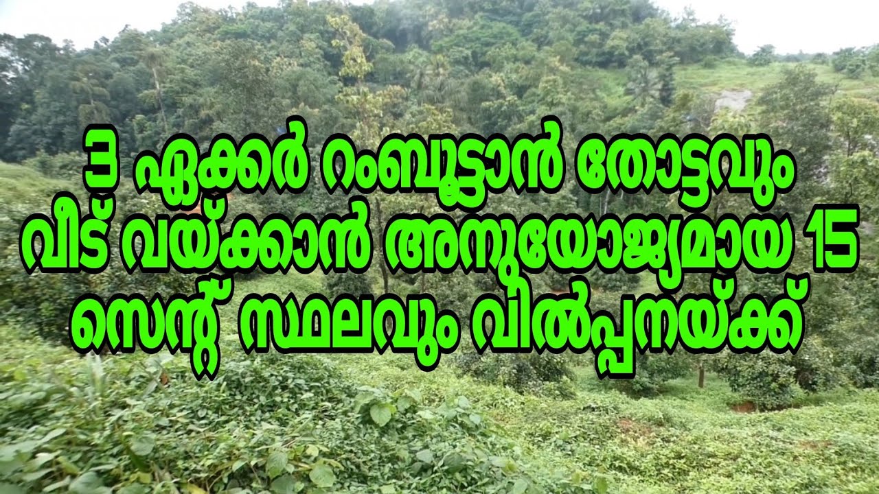 3Acres of land with full Ramboottan and 15 cents of house plot for sale at Koladi, Thodupuzha.