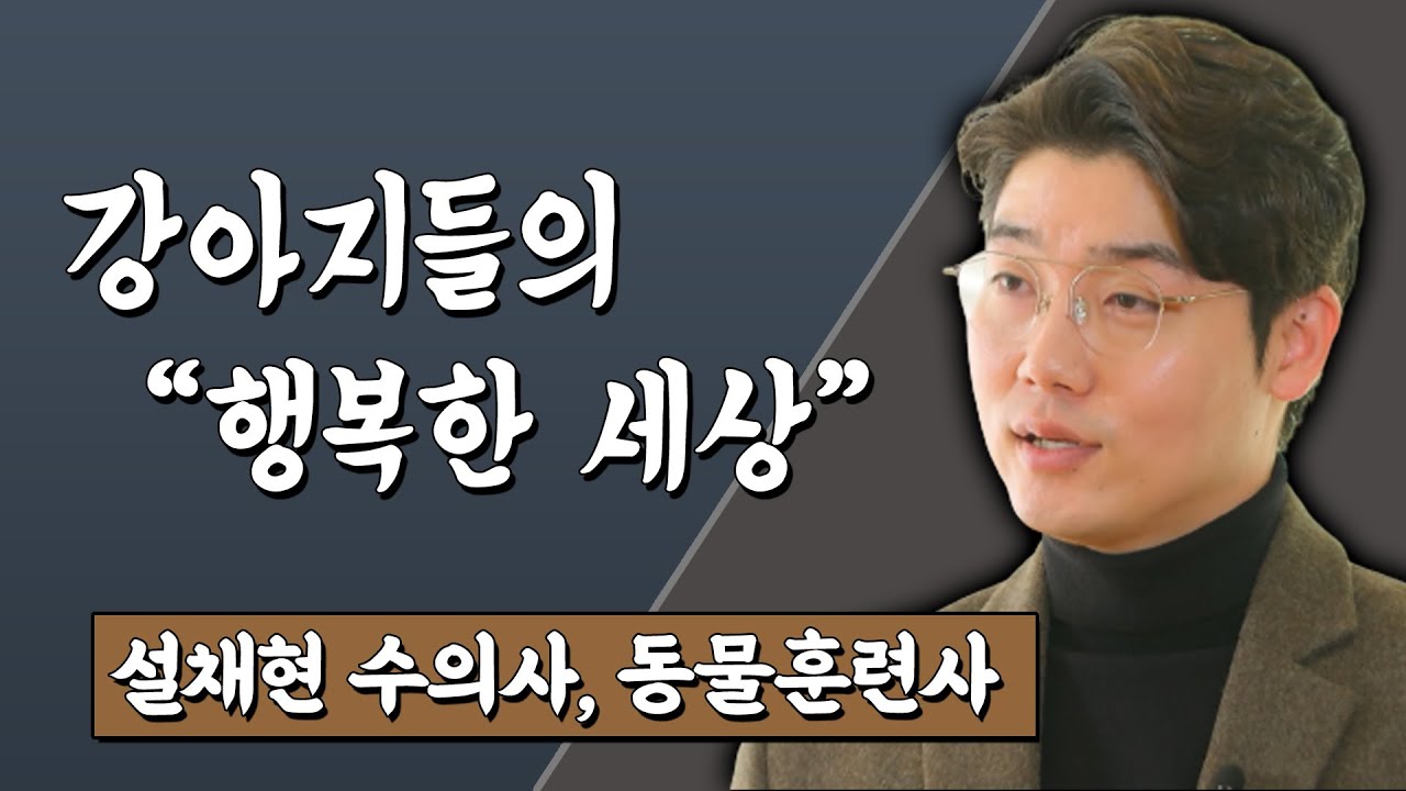 강아지들의 행복한 세상 설채현 수의사, 동물훈련사 #TV특강 #스미다