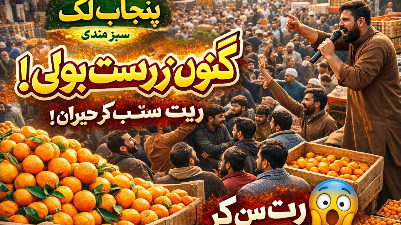 پنجاب لک | سبز منڈی میں کنوں کی زبردست بولی😱 ریٹ سن کر سب حیران! #punjab #punjablook #dailymarket 