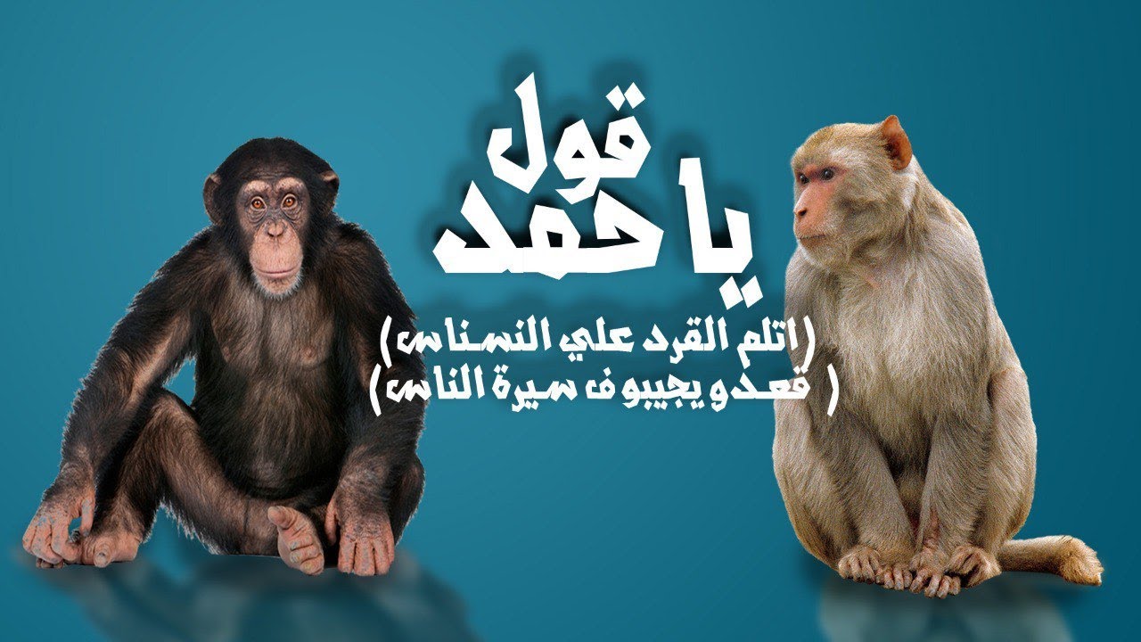 #قول_ياحمد ( واتلم القرد علي النسناس قعدو يجيبو ف سيرة الناس) - صاب واي توينز - توزيع اسلام شيتوس