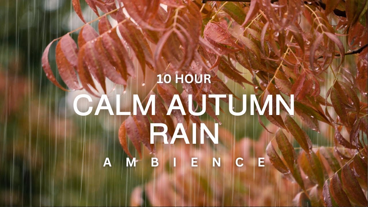 10 Hour | 🍁✨Soothing Autumn Rain Meditation✨🍁 Calming Fall Ambience for Deep Sleep & Focus