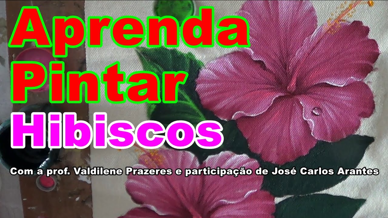 Como pintar hibiscos