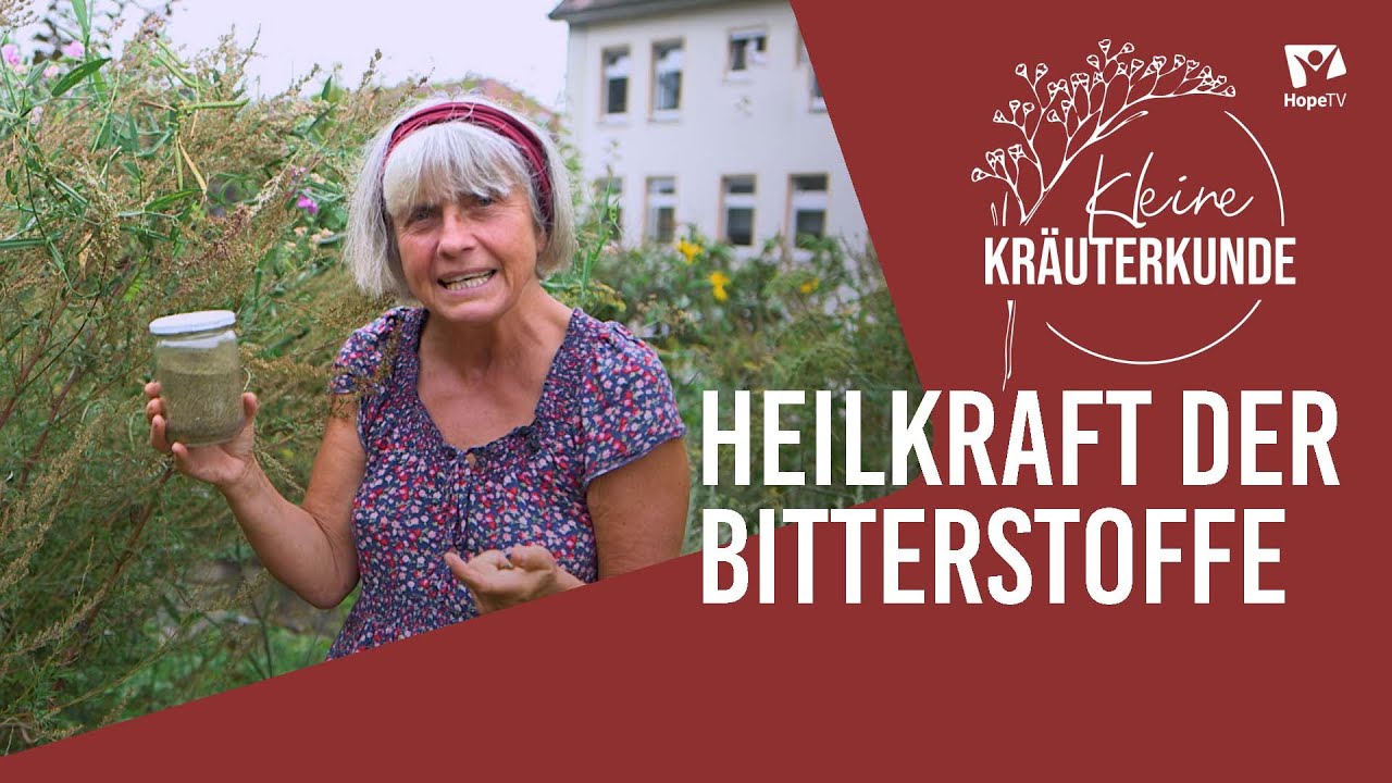 Heilkraft der Bitterstoffe - Immunsystem stärken | Mini Kräuterkunde mit Ruth Pfennighaus