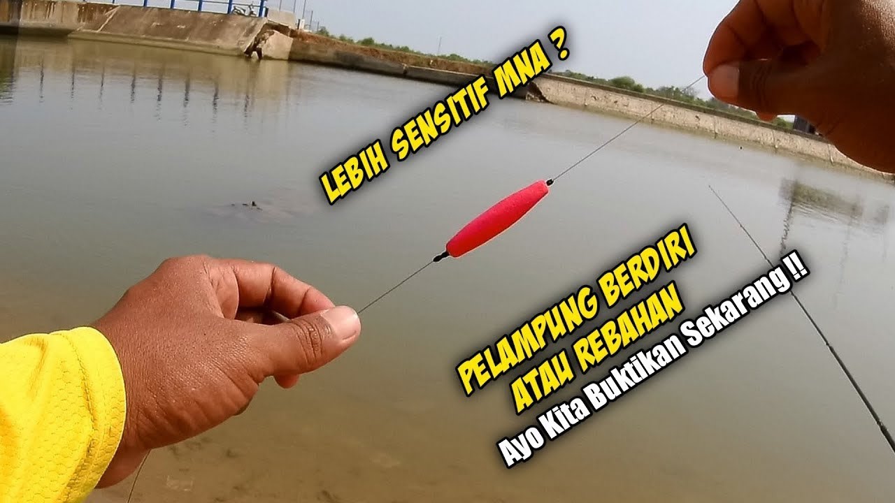 Mancing ikan belanak tehnik pelampung rebahan !! sensitif sih tapi size nya..😁