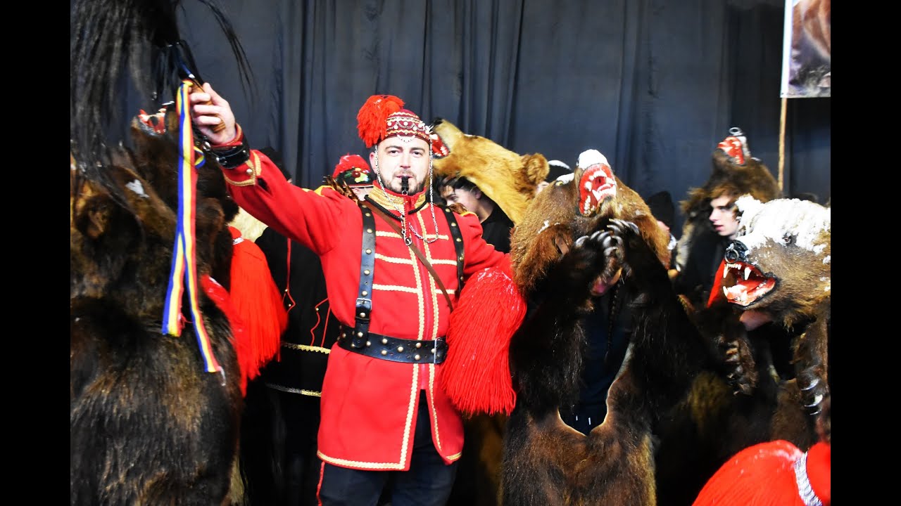 Ceata urșilor din Moinești