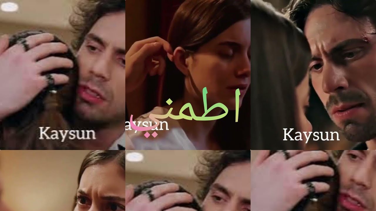 طائر الرفراف كايا سونا #كايسون تامر حسني اطمني Yali çapkini kaya suna #kaysun