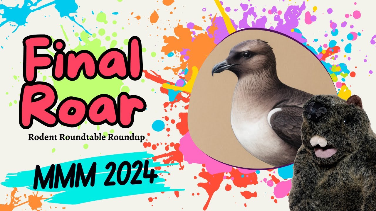 Rodent Recap - 2024 MMM - Final Roar!