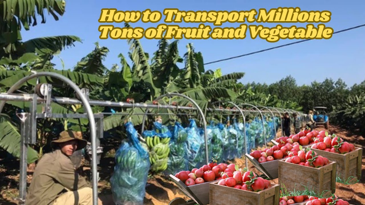 How to TRANSPORT MILLIONS TONS of Fruit and Vegetable 🍒🌽 - Smart Transportation Technology Ideas