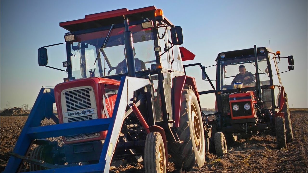 💥Orka 2026💥 Ursus c-360 & Zetor 7011 w akcji 🔥💪🏽