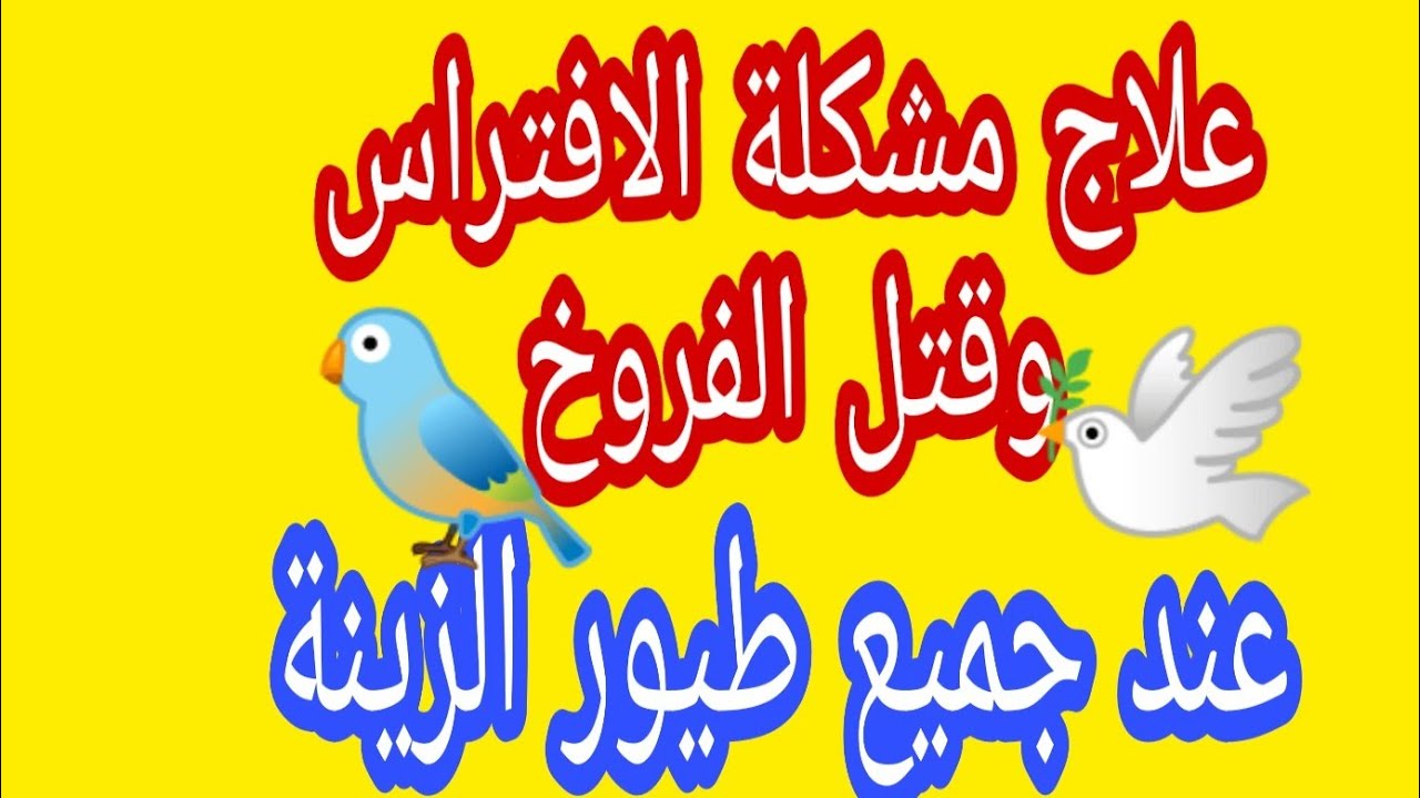 علاج حالات الافتراس وقتل الفروخ فى طيور الزينة
