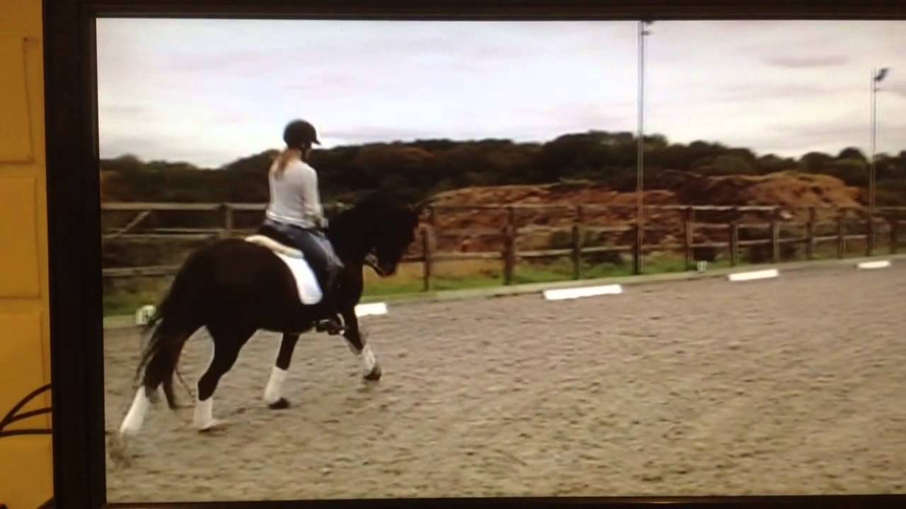 Keystone Dynamite and Sadie Smith Advanced medium freestyle 2015
