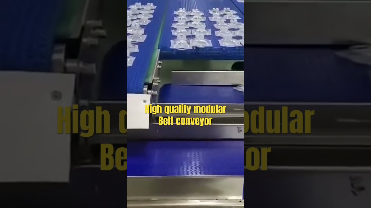 High quality modular belt conveyor #modularbelt#plasticbelts