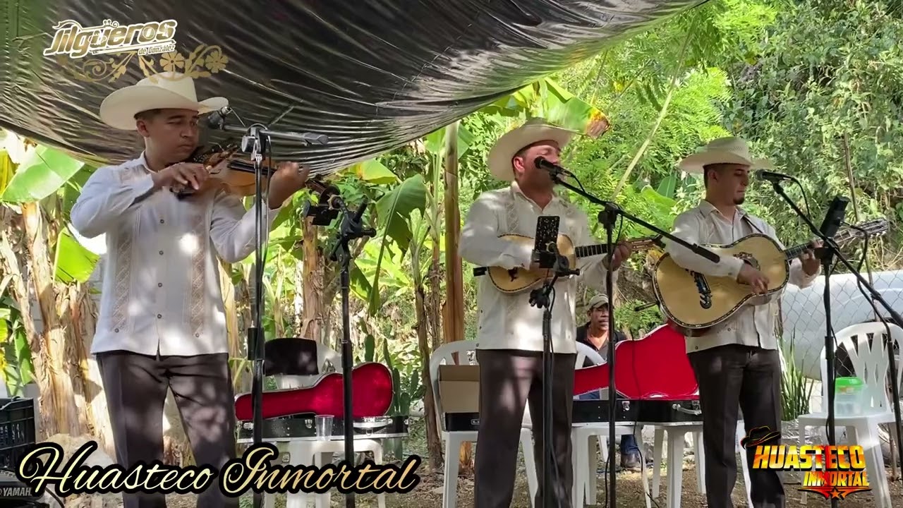 Trió jilgueros de González ( el caballito)