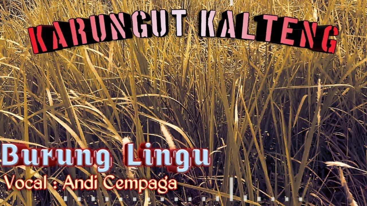 Karungut - burung lingu (andi cempaga)