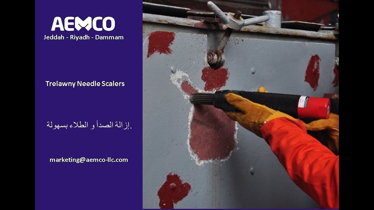 Trelawny Needle Scaler - AEMCO