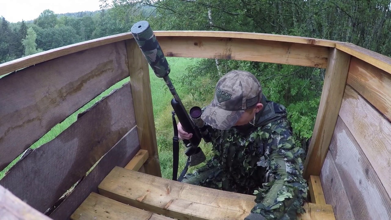 bukkejakt 10.august 2019