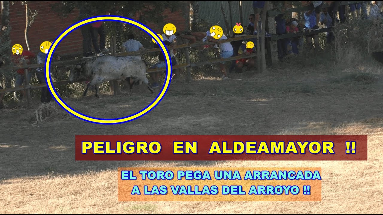 Aldeamayor de San Martín (Va). 1º Encierro Mixto. 