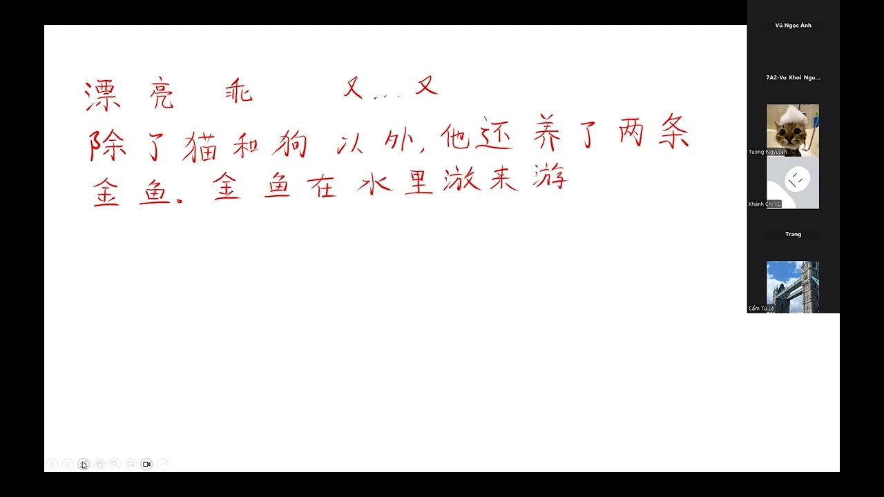 ESTC- Lesson 3~Text2~Activity
