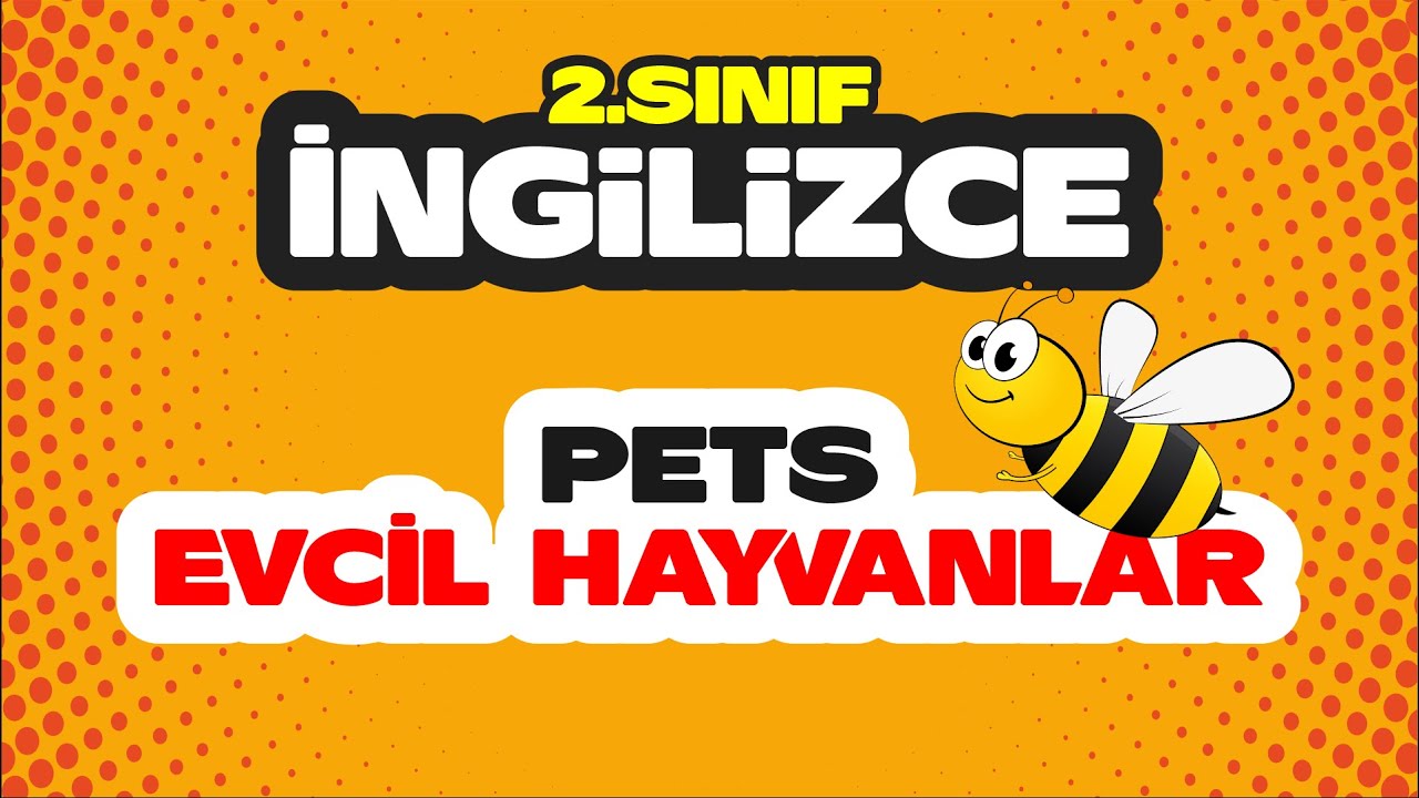 İlkokul 2.Sınıf | İngilizce | »Pets-Evcil Hayvanlar« Uzaktan Eğitim