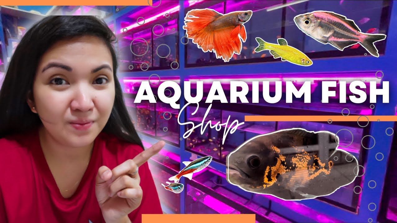 Aqurium Fish Shop | Animal Market Sharjah Part2 