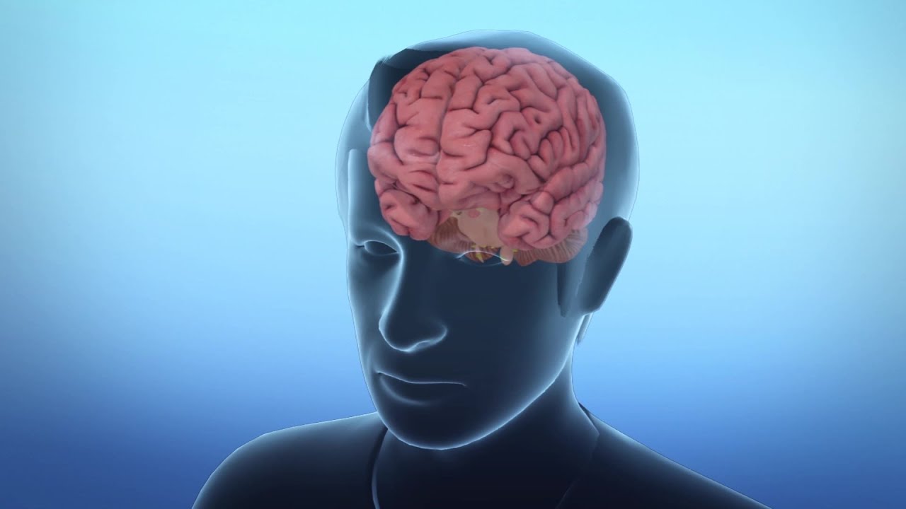 Brain-infecting virus spread by mosquitoes in Michigan