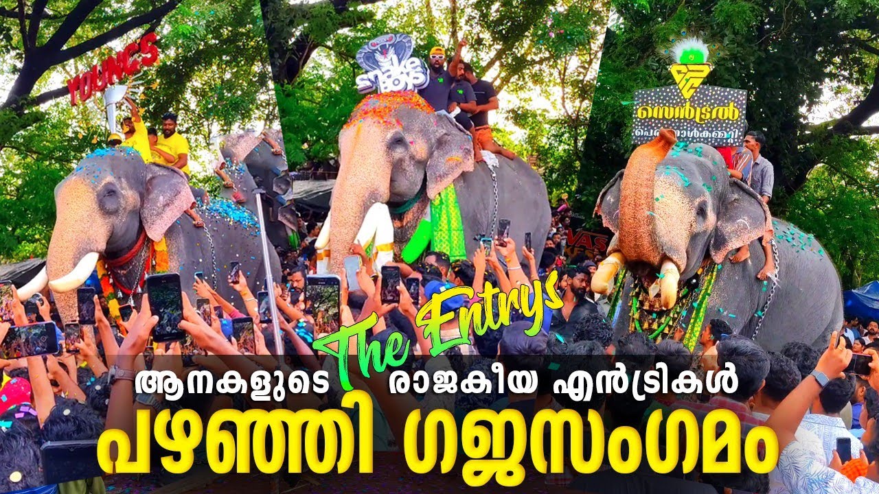 Pazhanji Gajasangamam 2023 | Pazhanji Gajasangamam Elephants Entry | Pazhanji Palliperunnal 2023
