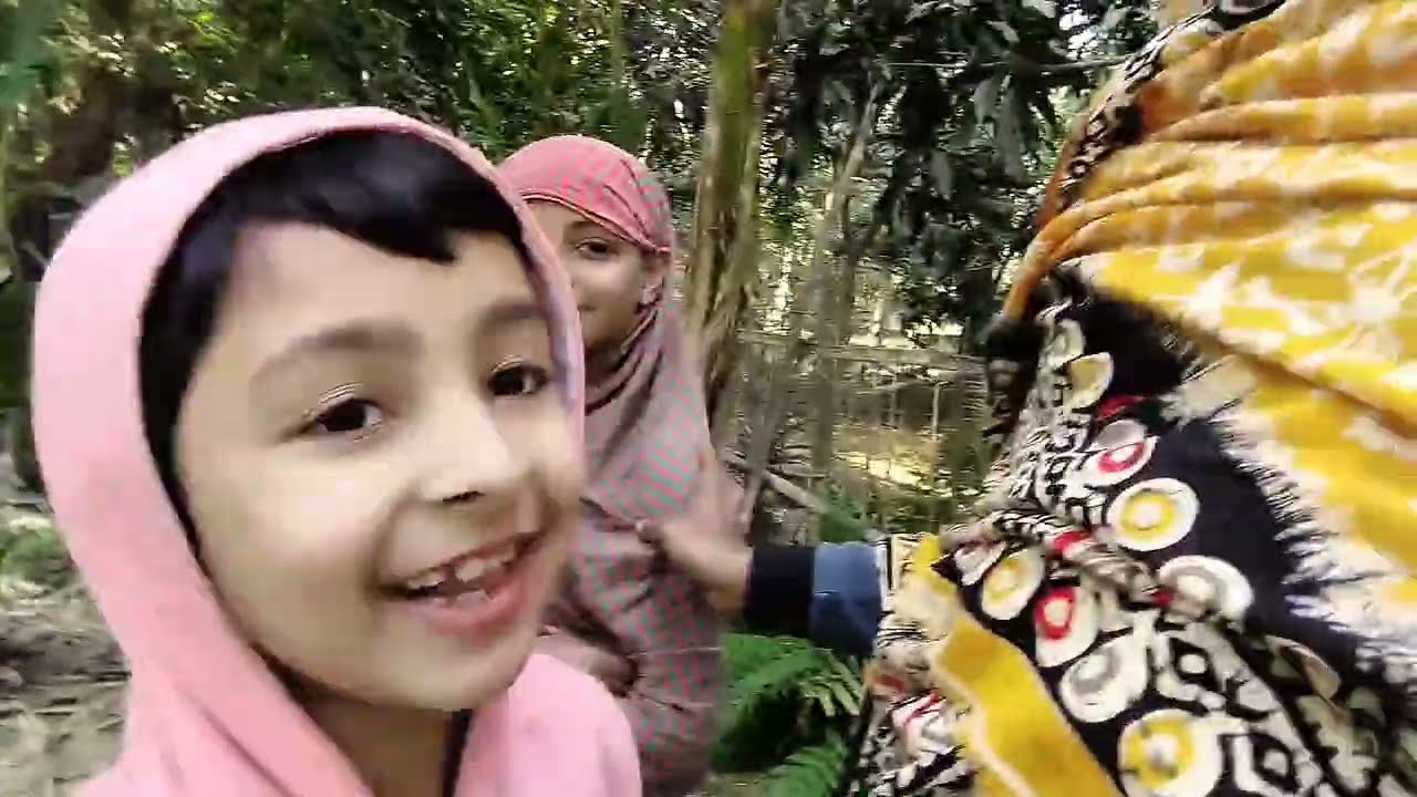নিরিবিলি পরিবেশে ভিডিও / Video in a quiet environment