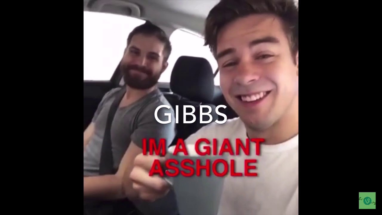 ncis characters as vines