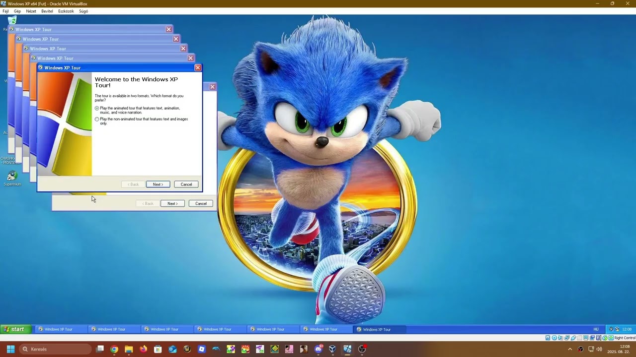 Windows XP BSOD Compilation #194