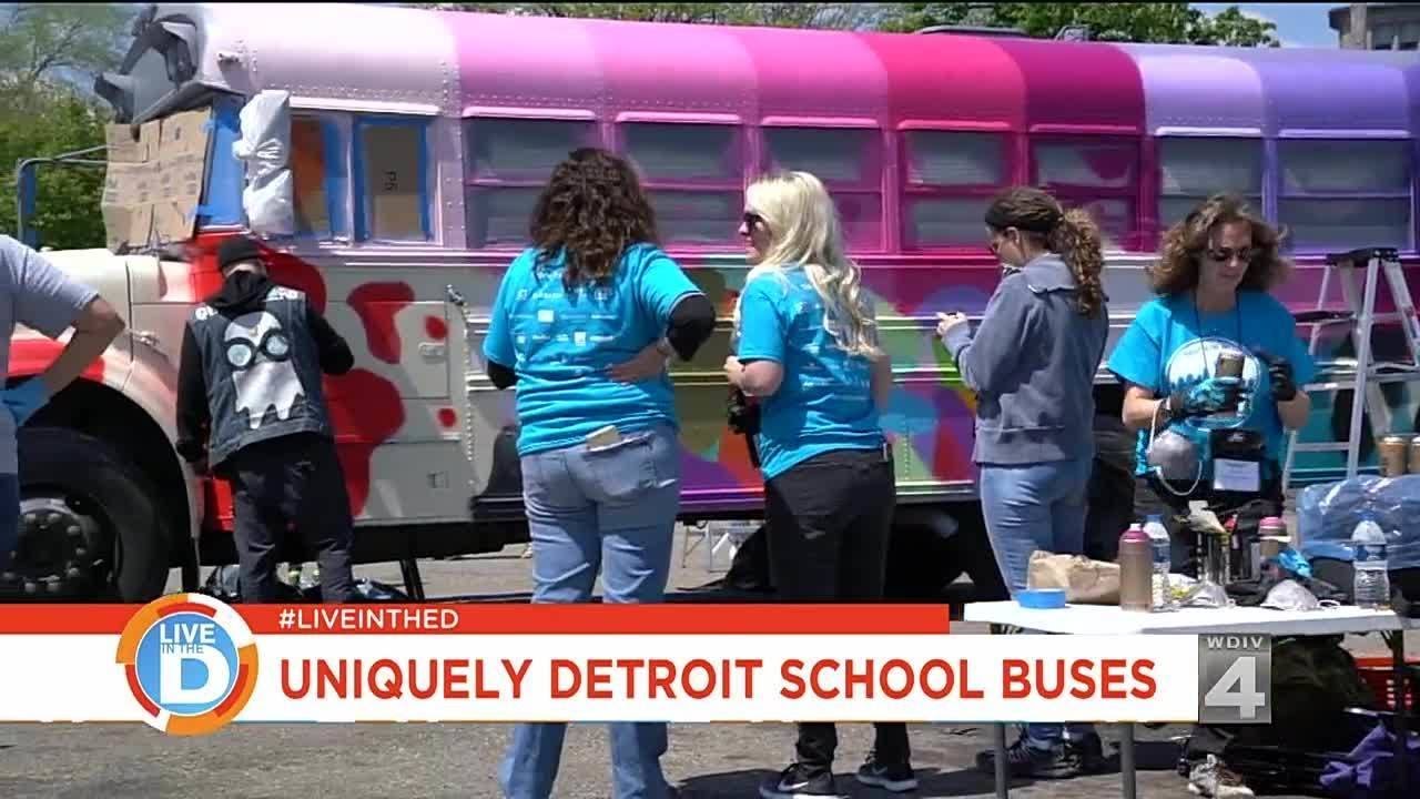 Beautiful Buses In The D