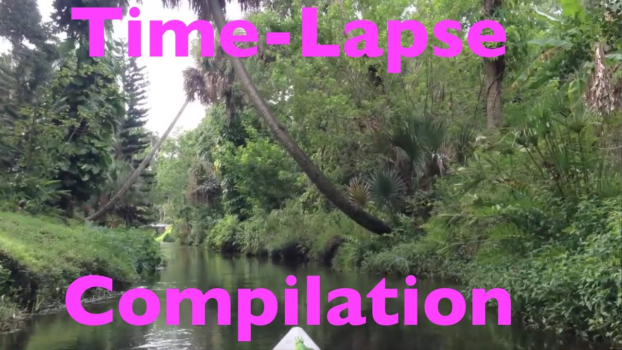 Time-Lapse Compilation of Crane Creek, Goat Creek, and Horse Creek, Florida as Seen from a Canoe