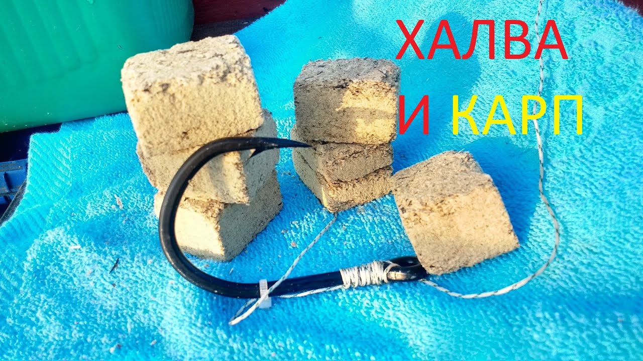 КИЛО ХАЛВЫ МНЕ В ЛОДКУ .рекорд ЗАЛИВА