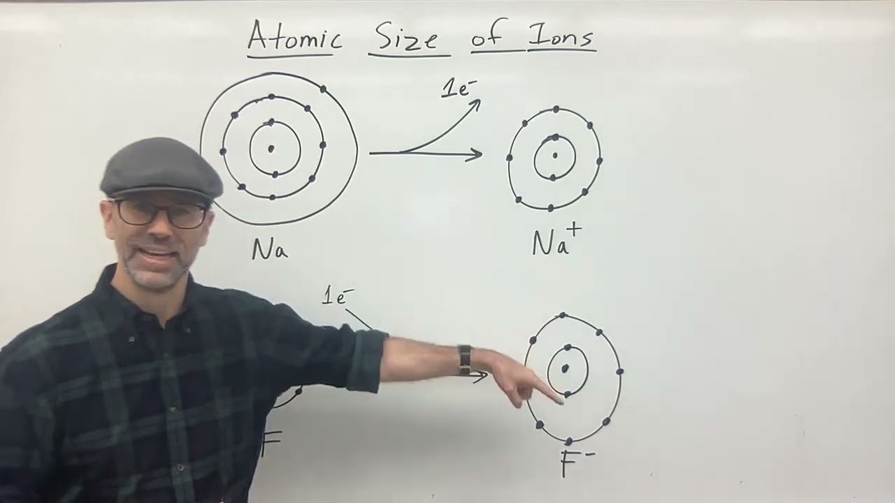 The Sizes of Ions