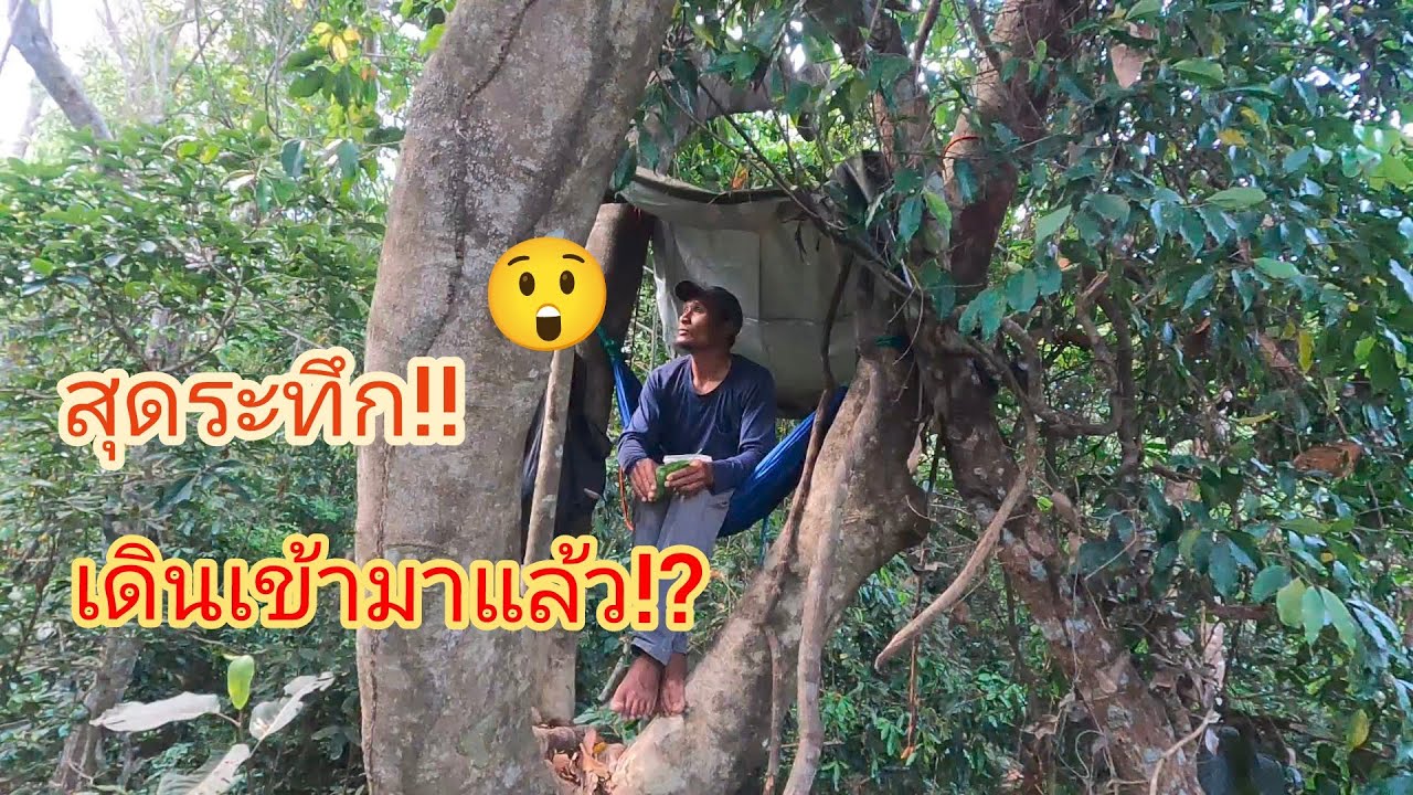 นอนป่าลึก ตกค่ำ!สุดระทึก!มีเสียง?เดินเข้ามาหา 01/03/69
