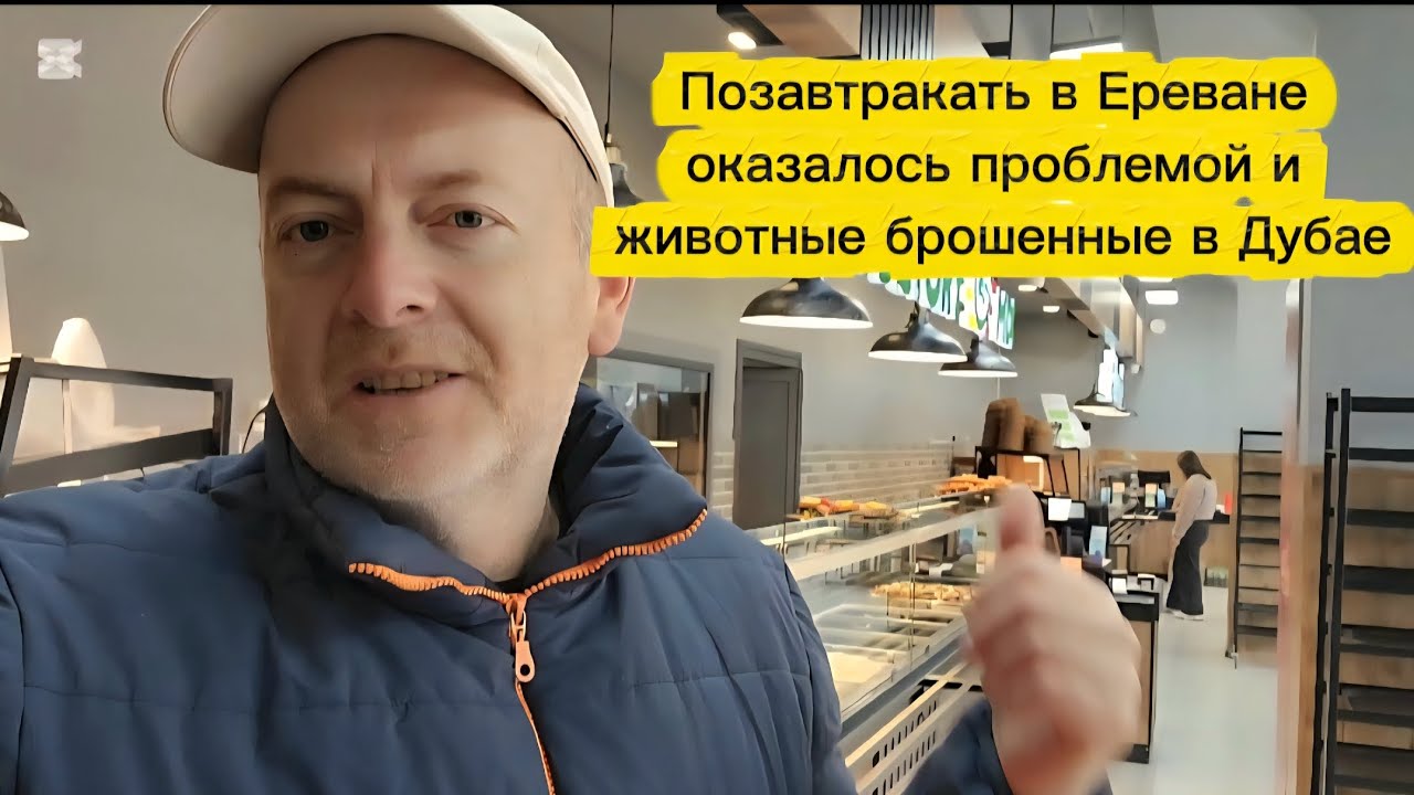 ПОЗАВТРАКАТЬ В ЕРЕВАНЕ ОКАЗАЛОСЬ ПРОБЛЕМОЙ, ЕДВА НЕ ОСТАЛСЯ ГОЛОДНЫМ. БРОШЕННЫЕ ЖИВОТНЫЕ В ДУБАЕ