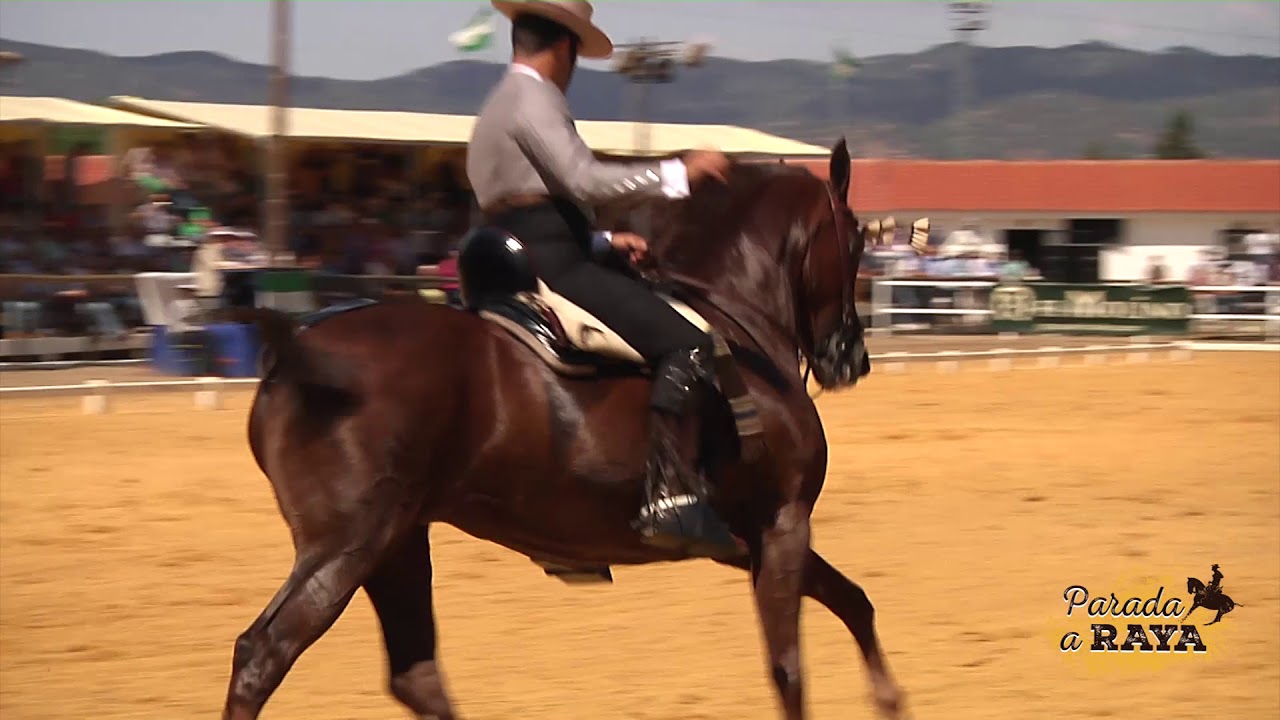 Álvaro Teba del Pino con Tiburona en la Final del XL Campeonato de Andalucía de Aroche