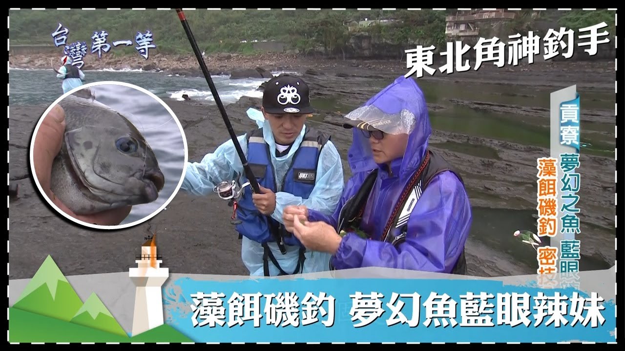 台灣第一等【東北角神釣手 藻餌磯釣藍眼辣妹／找蟹高手 礁岩地找白底仔】 _精選特輯