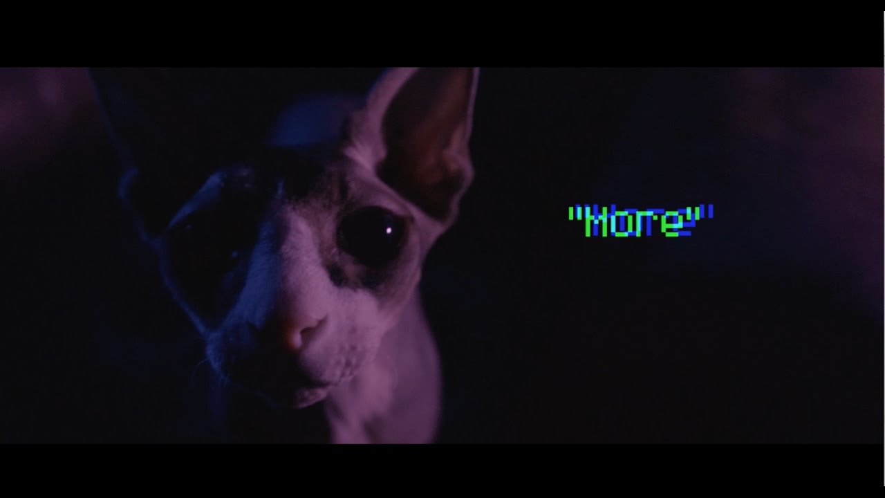 916Frosty- more (OFFICIAL MUSIC VIDEO) Dir by: @TrevorPotter