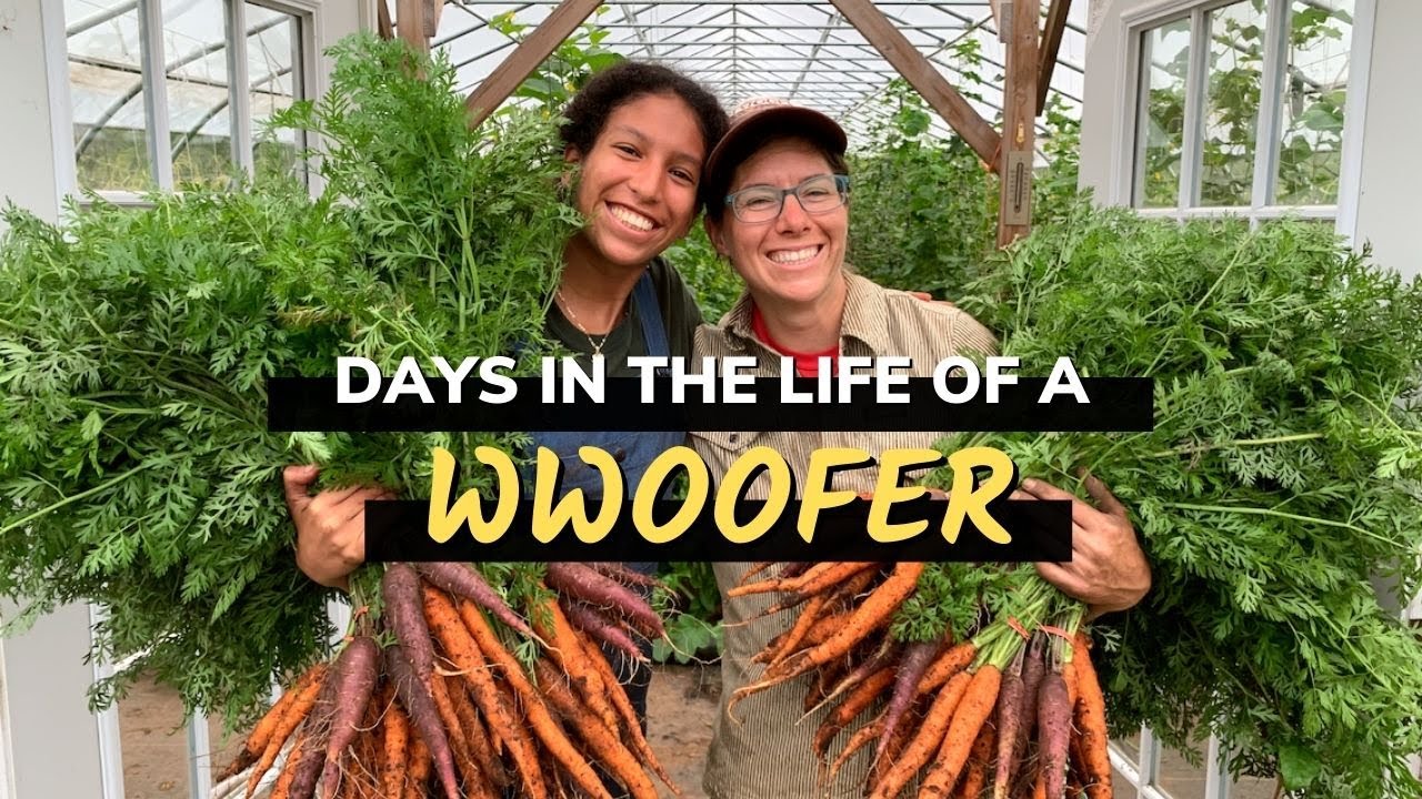 Days in the life of a WWOOFer | My WWOOFing experience