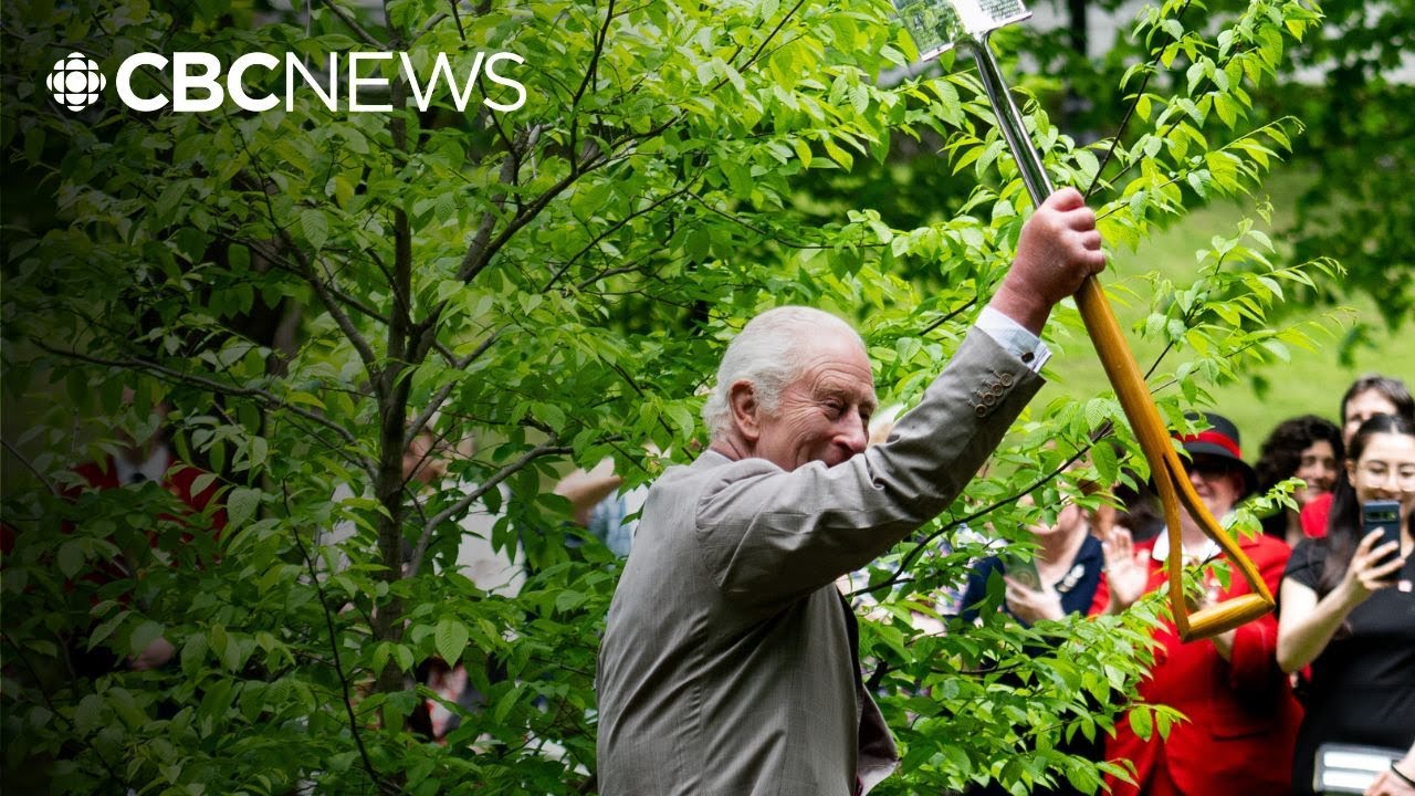 King's blue beech tree a symbol of Canada's 'resilience'