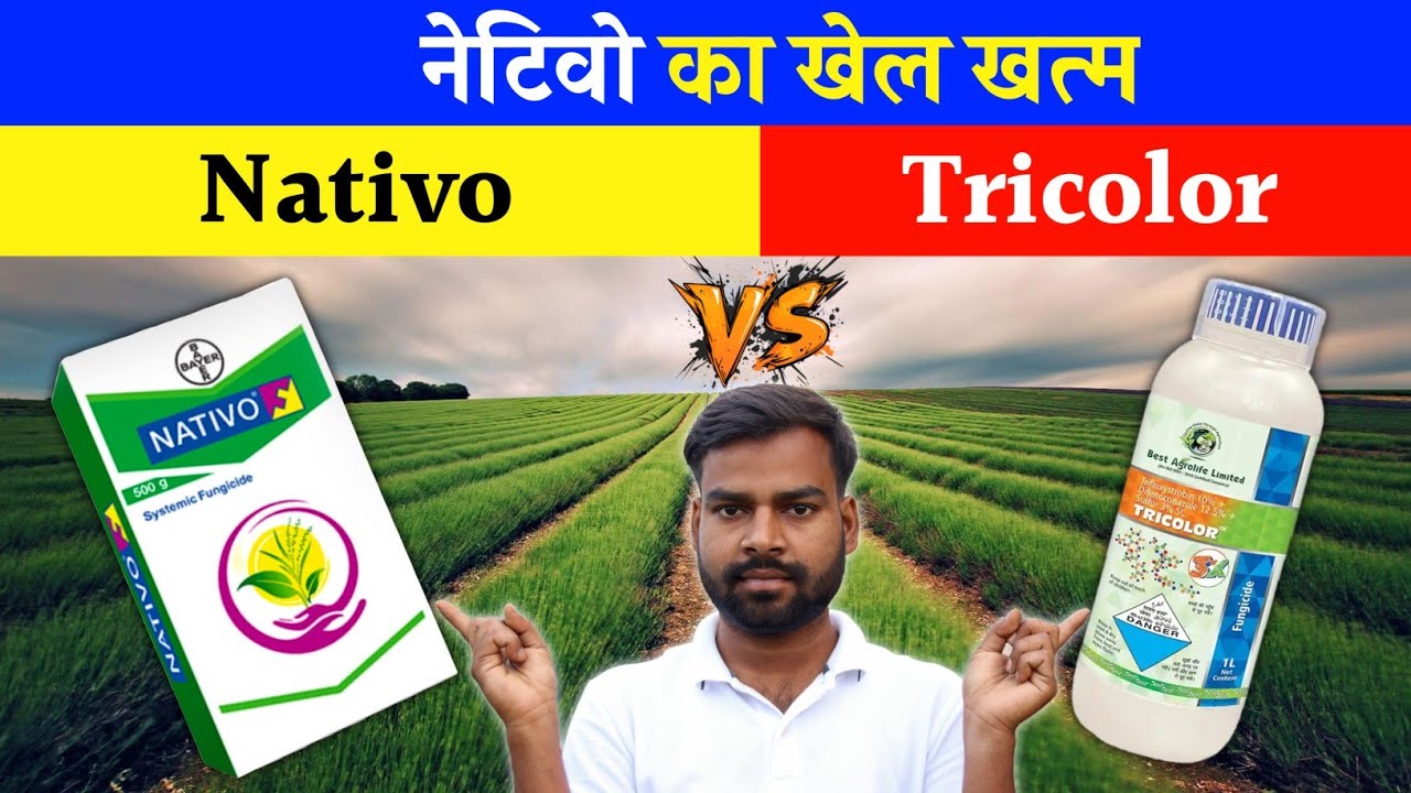 Tricolor Fungicide Nativo को मार डाला 😱
