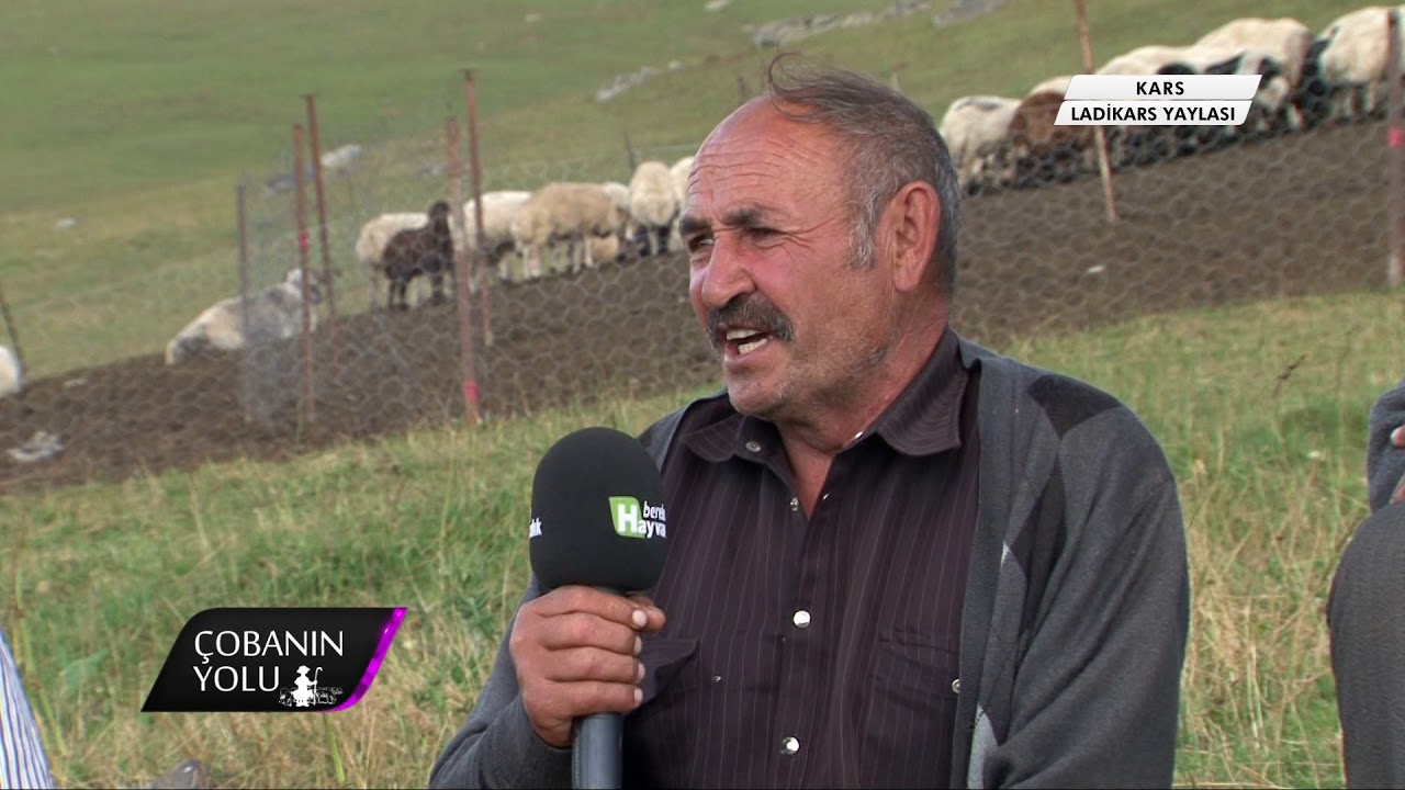 LADİKARS YAYLASI KARS 3 .BÖLÜM
