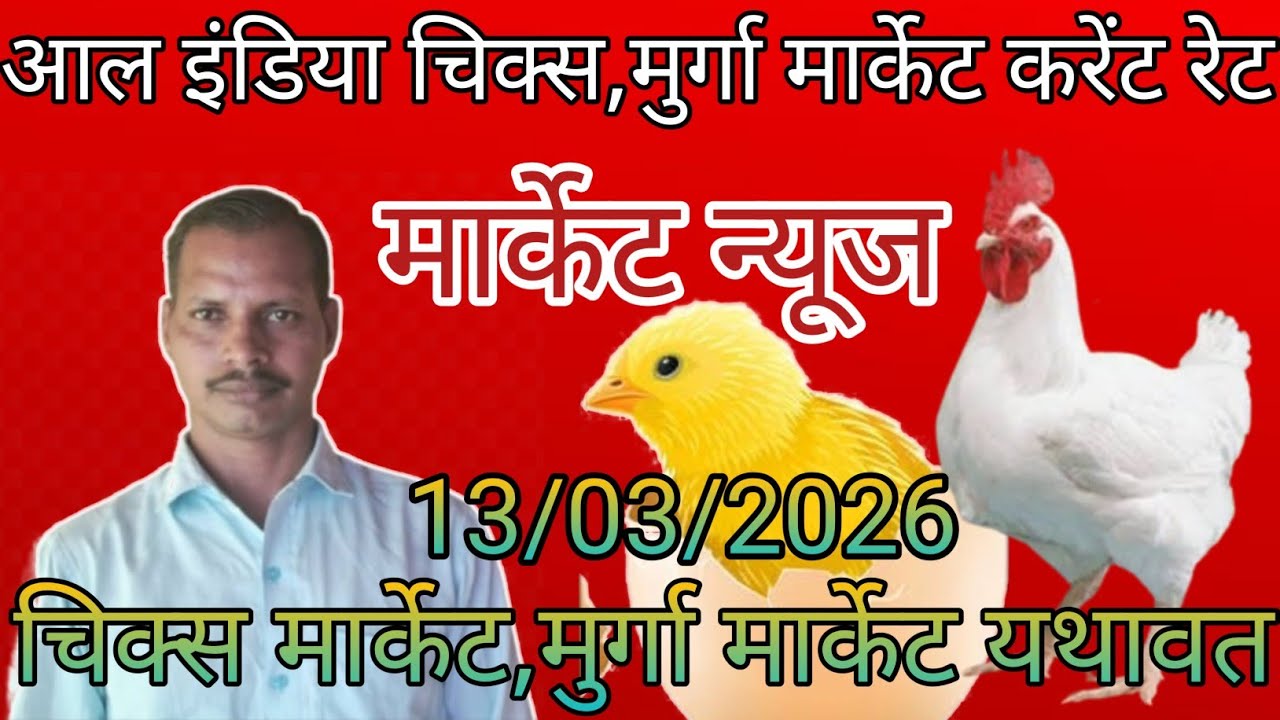 Poultry rate today in up/Poultry rate today/Poultry rate near me/Poultry rate per/Daily poultry rate